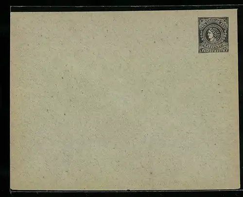 Briefumschlag Frankfurt a. M., Priv. Circular Post, Friedensstrasse 5, Private Stadtpost