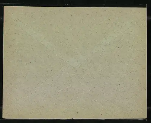 Briefumschlag Frankfurt a. M., Priv. Circular Post, Friedensstrasse 5, Private Stadtpost