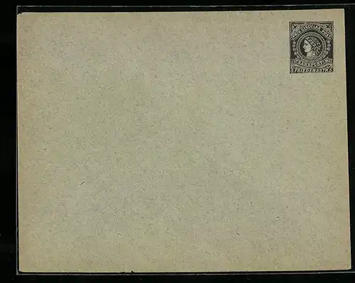 Briefumschlag Frankfurt a. M., Priv. Circular Post, Friedensstrasse 5, Private Stadtpost