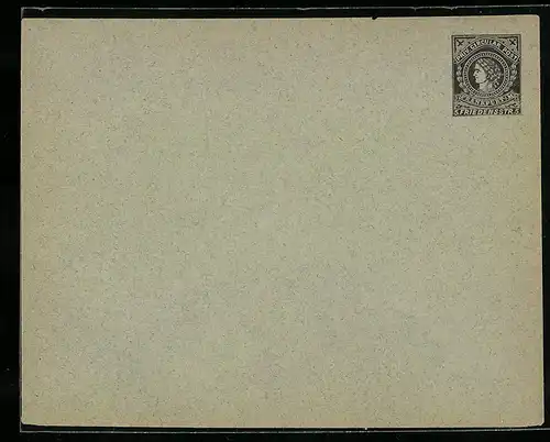 Briefumschlag Frankfurt a. M., Priv. Circular Post, Friedensstrasse 5, Private Stadtpost