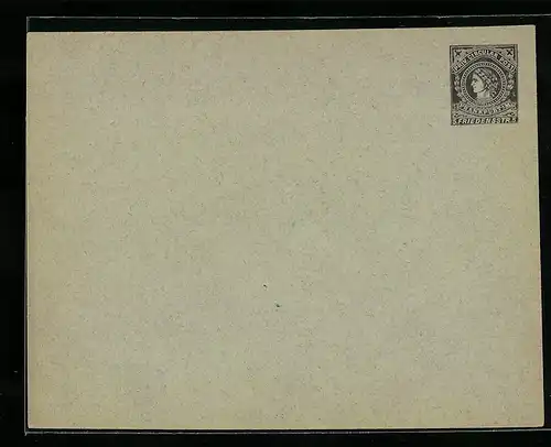 Briefumschlag Frankfurt a. M., Priv. Circular Post, Friedensstrasse 5, Private Stadtpost