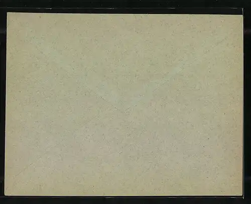 Briefumschlag Frankfurt a. M., Priv. Circular Post, Friedensstrasse 5, Private Stadtpost