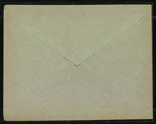 Briefumschlag Frankfurt a. M., Priv. Circular Post, Friedensstrasse 5, Private Stadtpost