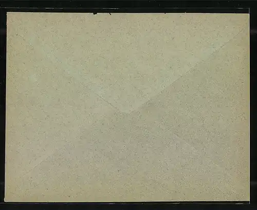 Briefumschlag Frankfurt a. M., Priv. Circular Post, Friedensstrasse 5, Private Stadtpost