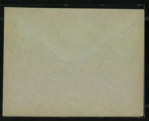 Briefumschlag Frankfurt a. M., Priv. Circular Post, Friedensstrasse 5, Private Stadtpost