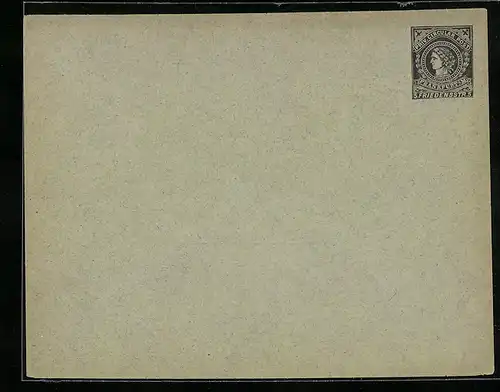 Briefumschlag Frankfurt a. M., Priv. Circular Post, Friedensstr. 5, Private Stadtpost