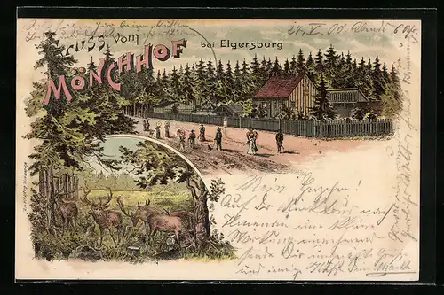 Lithographie Elgersburg, Mönchhof, Ortspartie mit Hirschen