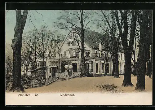 AK Münster i. W., Gasthaus Lindenhof, Strassenansicht mit Garteneingang