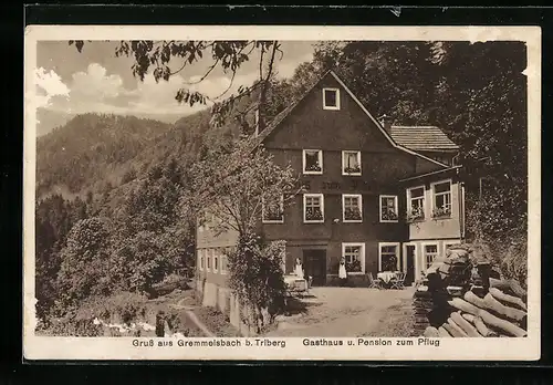 AK Gremmelsbach bei Triberg, Gasthaus-Pension zum Pflug mit Serviererinnen und Umgebung