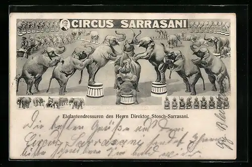 Künstler-AK Circus Sarrasani, Elefantendressuren des Herrn Direktor Stosch-Sarrasani