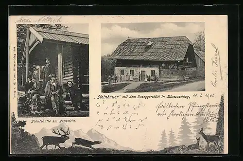 AK Mürzzuschlag, Gasthaus Steinbauer mit Roseggerstübl, Schutzhütte am Ganzstein
