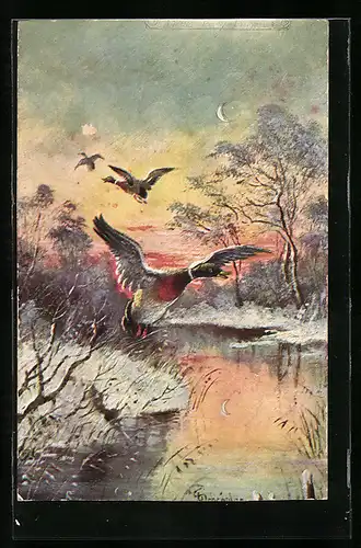 Künstler-AK Enten an winterlichem Gewässer am Abend