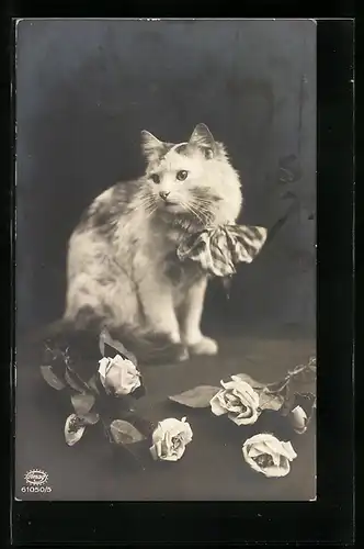 AK Katze mit Schleife um den Hals und Rosen