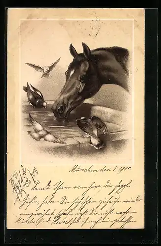 Lithographie Pferd und Tauben an der Tränke