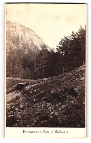 Fotografie G. W. Wilson, Aberdeen, Ansicht Ballater, Entrance to Pass of Ballater mit Droschke