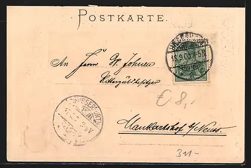Passepartout-Lithographie Hildesheim, Templerhaus und Haus Wedeking, Wappen