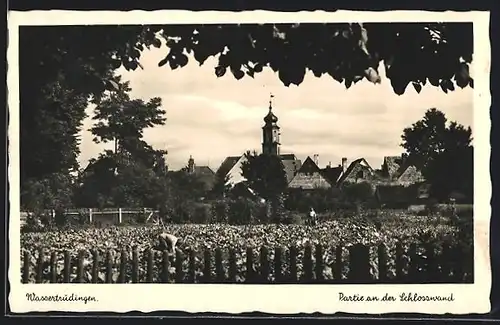 AK Wassertrüdingen, Partie an der Schlosswand