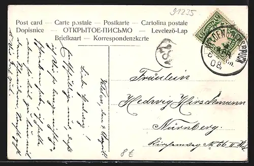 AK Velden a. Pegnitz, Totalansicht des Ortes