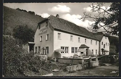 AK Escherndorf, Gasthaus zur Mainaussicht v. Robert Stumpf