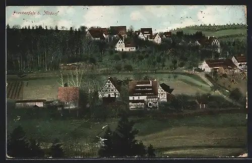 AK Prackenfels, Ortspanorama vom Berg aus gesehen