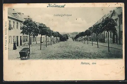 AK Rehau, Ludwigstrasse mit Bäumen