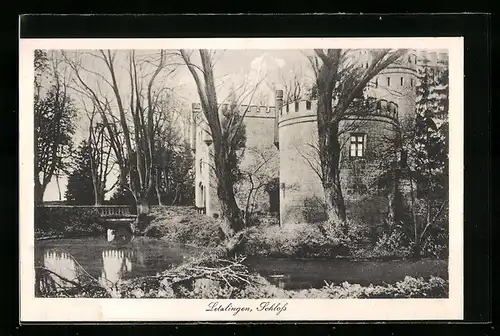 AK Letzlingen, Blick auf das Schloss