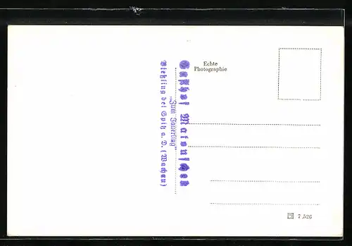 AK Spitz in der Wachau, Viessling, Berggasthof Zum Jauerling mit Parkplatz