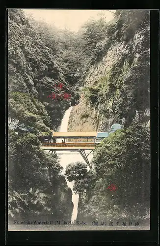 AK Kobe, Nunobiki Waterfall, Medaki