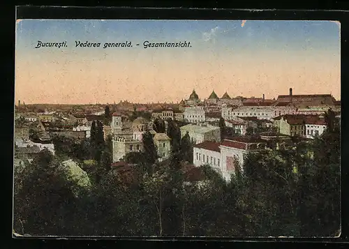 AK Bucuresti, Vederea generala