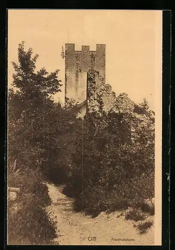 AK Cilli, Der Friedrichsturm