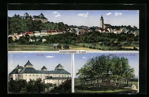 AK Augustusburg, Totalansicht, Schloss, Verkehrt gepflanzte Linde