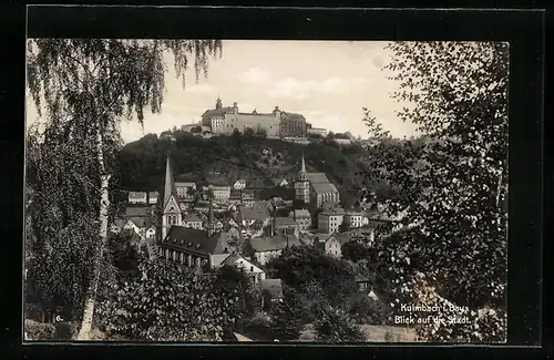 AK Kulmbach, Totalansicht aus der Vogelschau