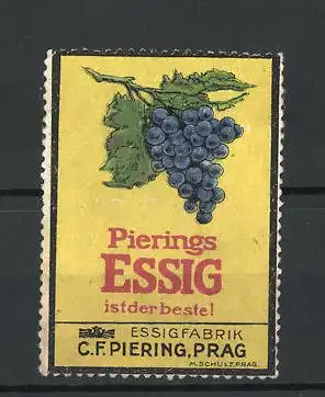 Reklamemarke Pierings Essig ist der Beste, C. F. Piering, Prag, Ansicht einer Weinrebe