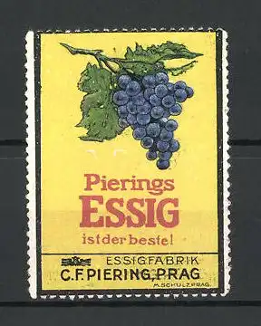 Reklamemarke Pierings Essig ist der Beste, C. F. Piering, Prag, Ansicht einer Weinrebe