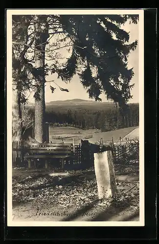 AK Friedrichsbrunn /Harz, Aussichtspunkt mit Markstein