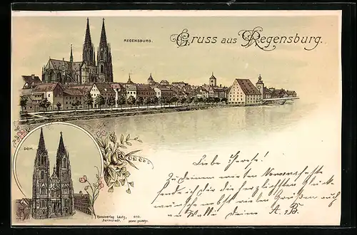 Lithographie Regensburg, Ansicht vom Dom, Stadt-Panorama
