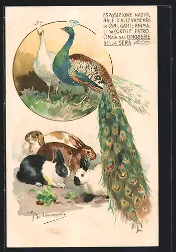 Künstler-AK Mailand, Esposizione Nazionale D`Allevamento di Cani, Gatti e Animali