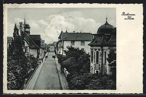 AK Bockenem a. Harz, Wiesen-, Kurze- und Königsstrasse mit Villen aus der Vogelschau