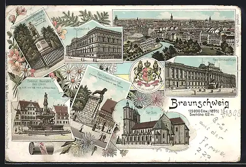Lithographie Braunschweig, Polytechnik, Dom, Residenzschloss