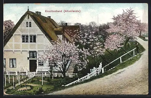 AK Kirschenland-Altenlande, Wohnhaus mit Weg bei Baumblüte