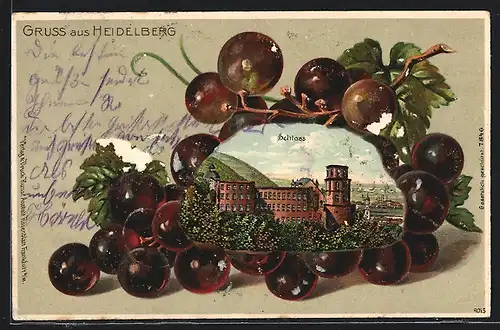 Passepartout-Lithographie Heidelberg, Das Schloss, Weinrebe