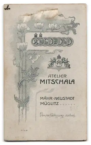 Fotografie Atelier Mitschala, Mähr.-Neustadt, Eleganter Herr mit Oberlippenbart