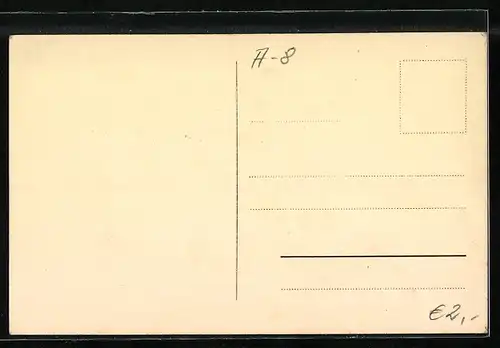 AK Graz, Strassenpartie am Landhaus