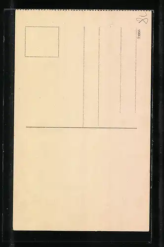 AK Herkulesbad, Rudolfshof mit Parkanlage