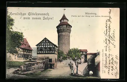 AK Nürnberg, Partie auf der Burg mit tiefem Brunnen