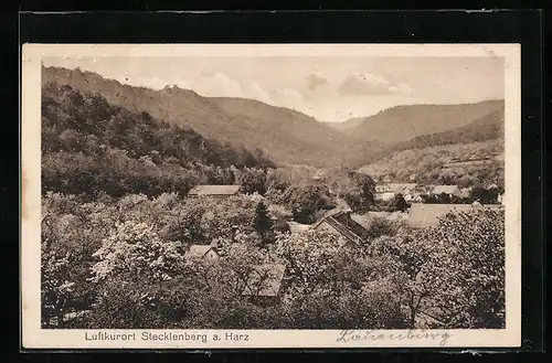 AK Stecklenberg a. Harz, Ortsansicht bei Tag