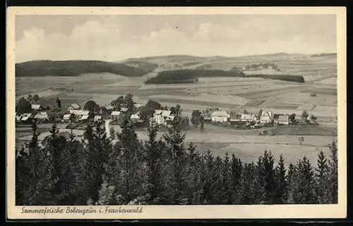 AK Bobengrün i. Frankenwald, Teilansicht