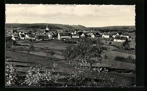 AK Schlüsselfeld, Panorama über die Stadt