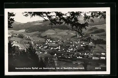 AK Spital am Semmering, Ortsansicht vom Berg aus