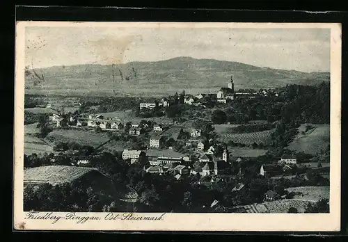 AK Friedberg-Pinggau, Ortsansicht bei Tag